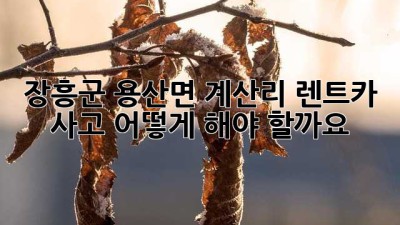 장흥군 용산면 계산리 렌트카 사고, 어떻게 해야 할까요?